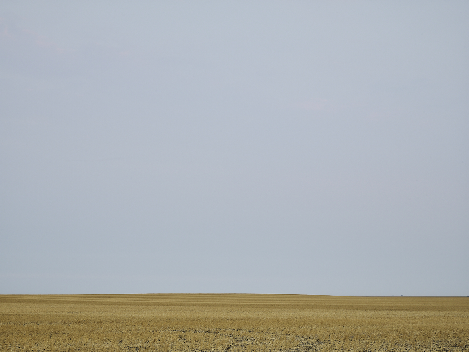 cleared 03,  South of  Grey, Saskatchewan, Canada, 2017