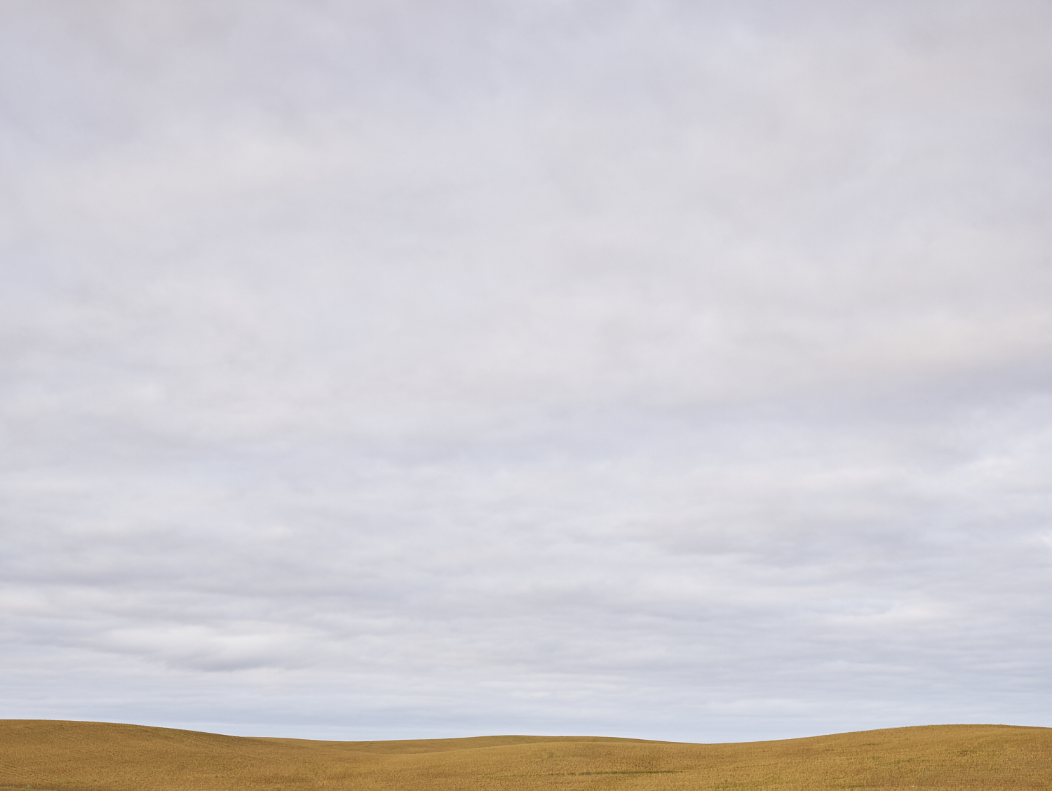 cleared 05,  East of Kayville, Saskatchewan, Canada, 2017