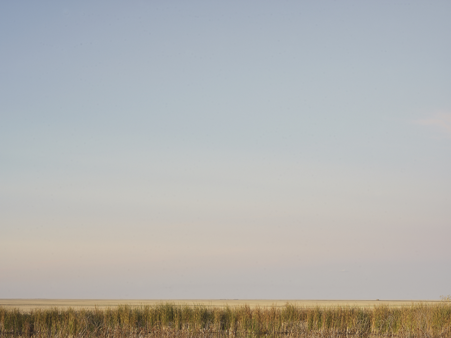 cleared 08,  Near Drinkwater, Saskatchewan, Canada, 2017