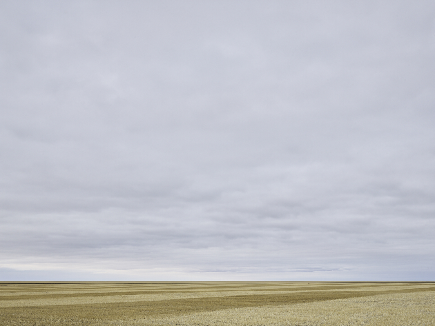 cleared 09,  South of Belle Plaine, Saskatchewan, Canada, 2017