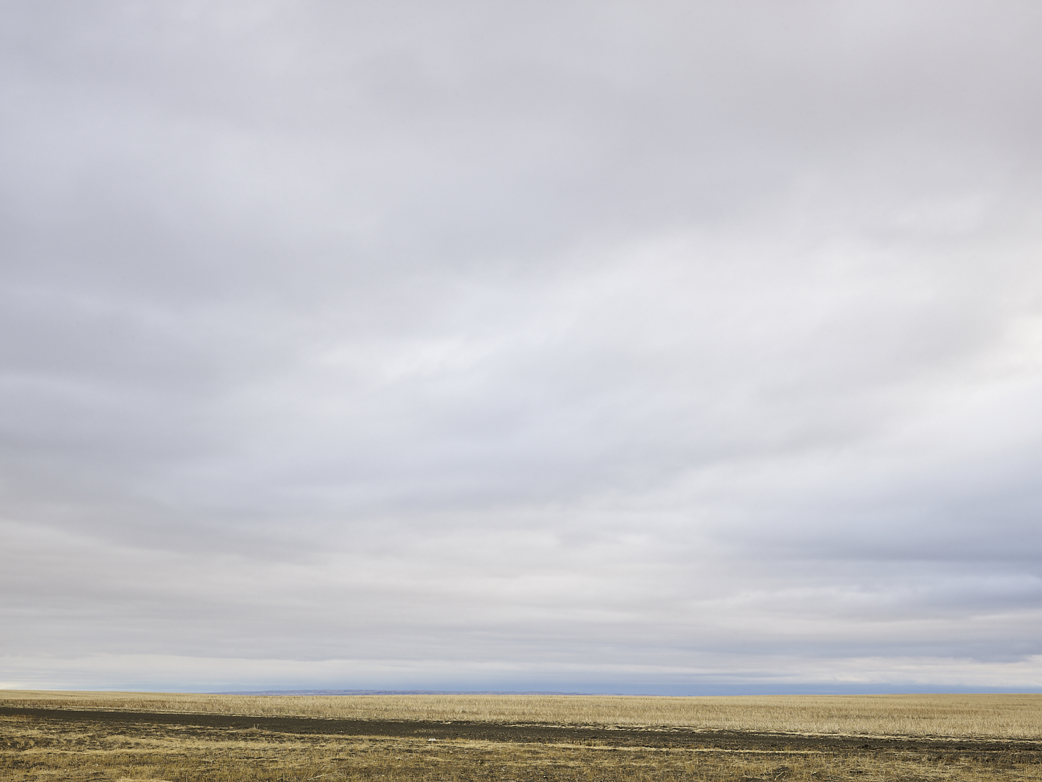 cleared 10,  North of Avonlea, Saskatchewan, Canada, 2017