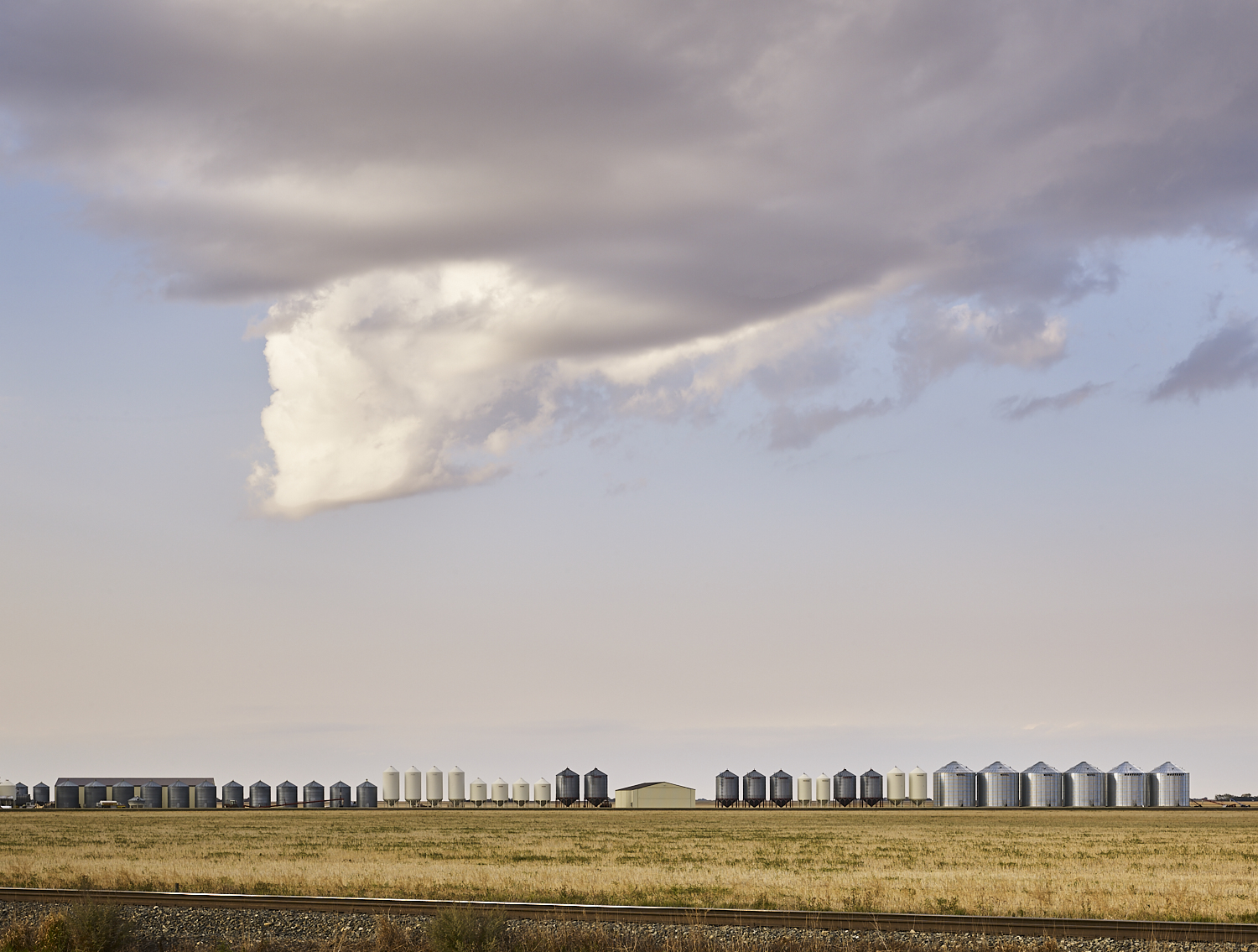 cleared 11,  Near Lang, Saskatchewan, Canada, 2017