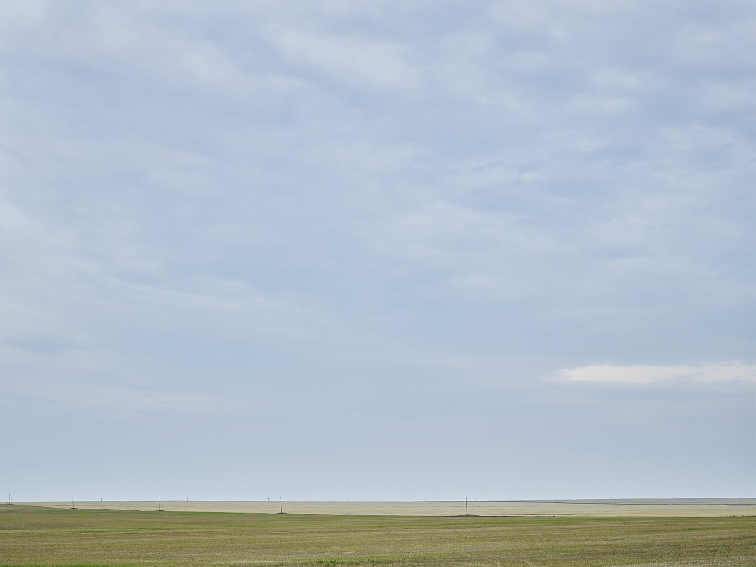 cleared 15,  South west of Regina, Saskatchewan, Canada, 2017