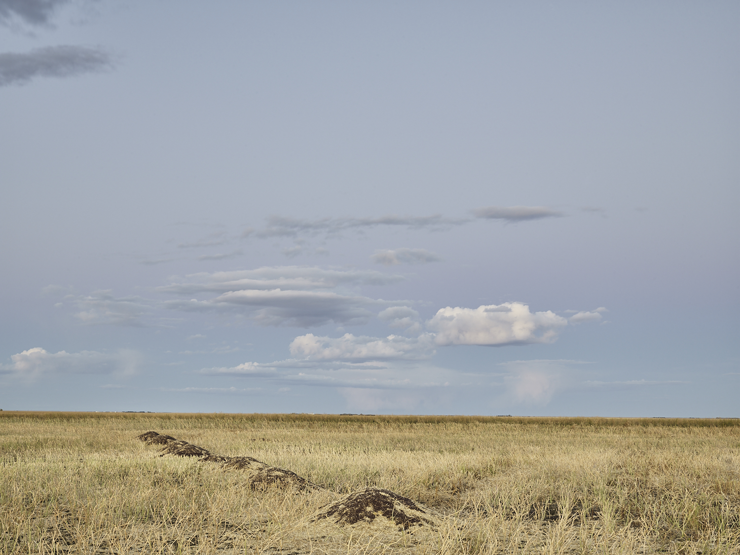 cleared 17,  North of Estlin, Saskatchewan, Canada, 2017