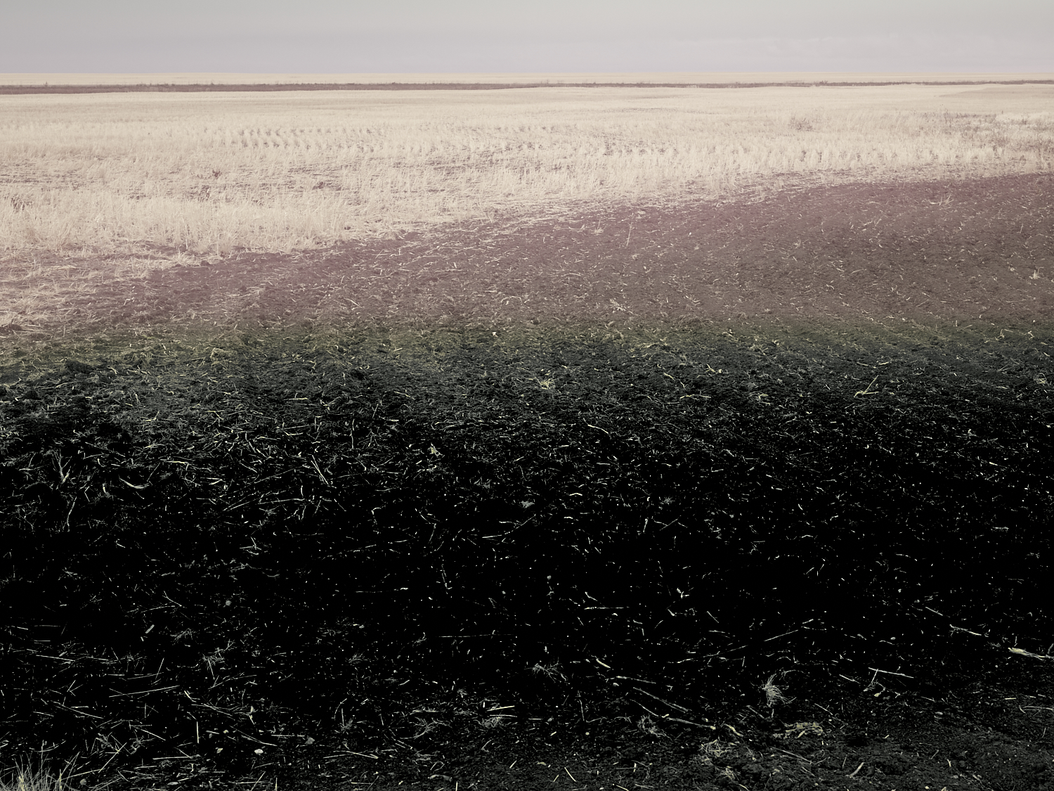 expecting to fly 05, Saskatchewan, 2017