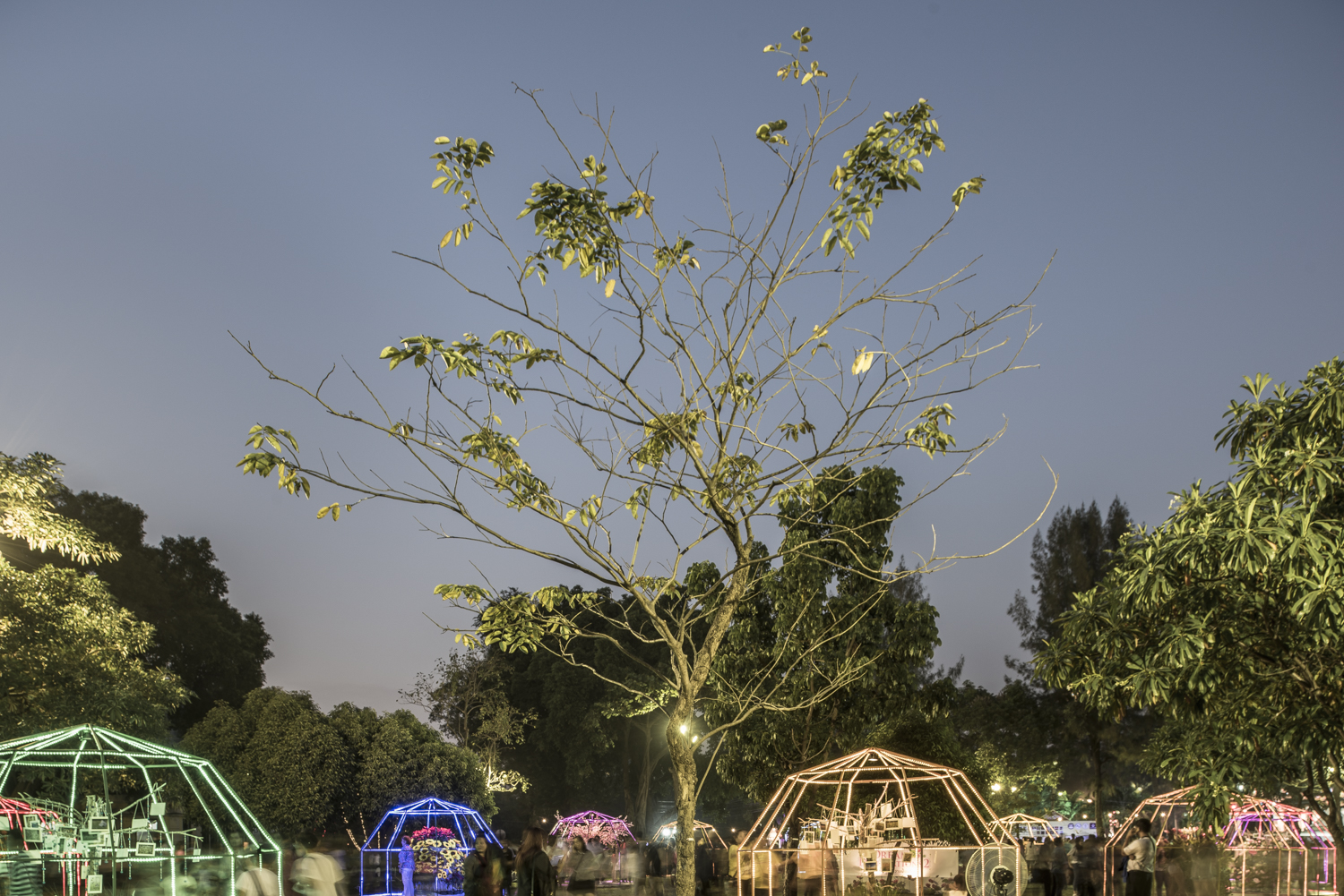 Wat Mahatathat, Ayutthaya, Thailand, 2015