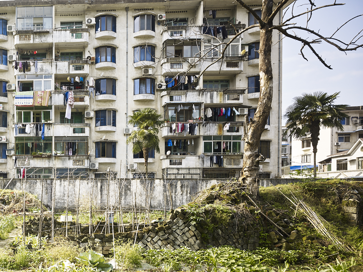 Community garden , Shexian, China, 2017