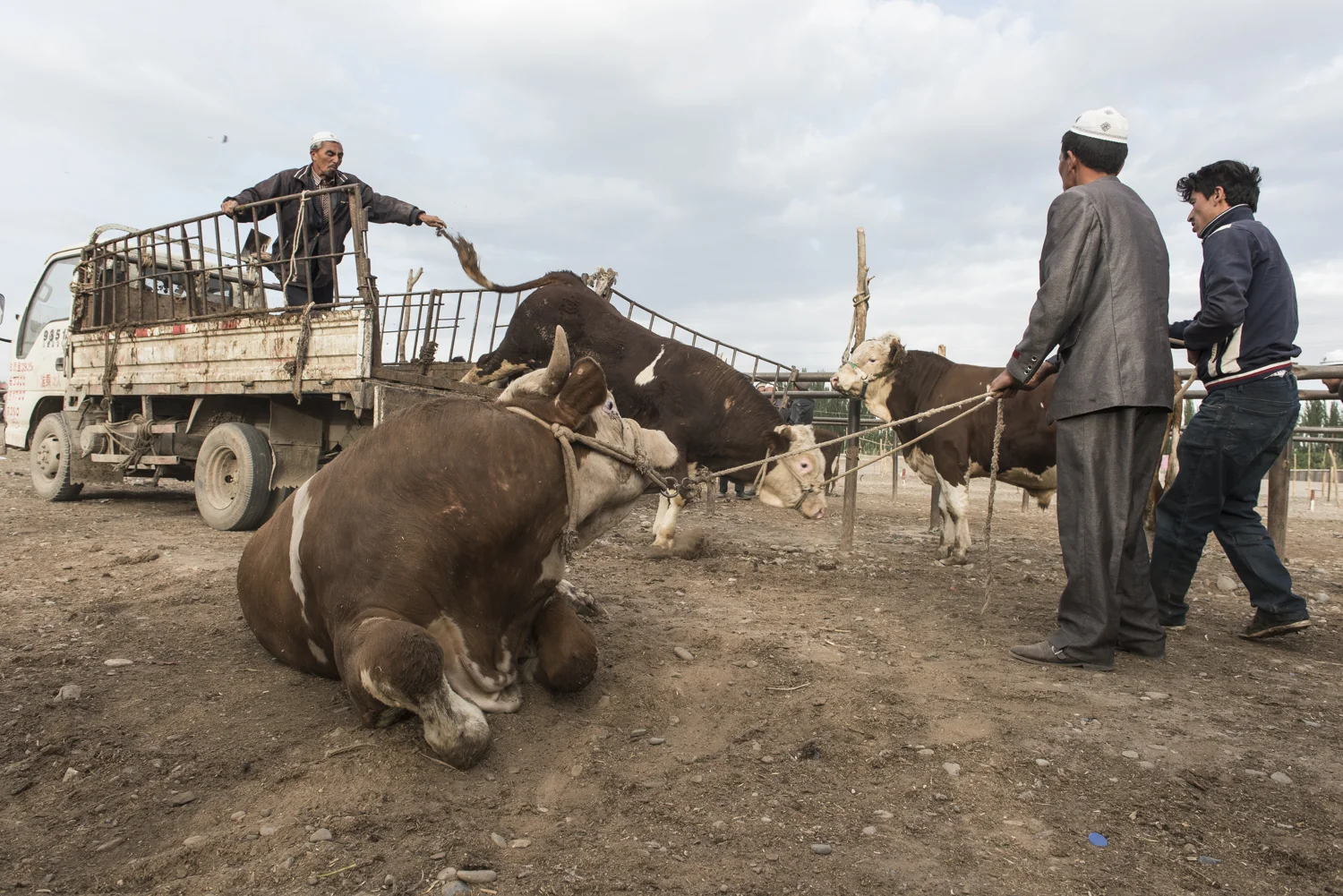 Discovery Channel The Silk Road David Baddiel