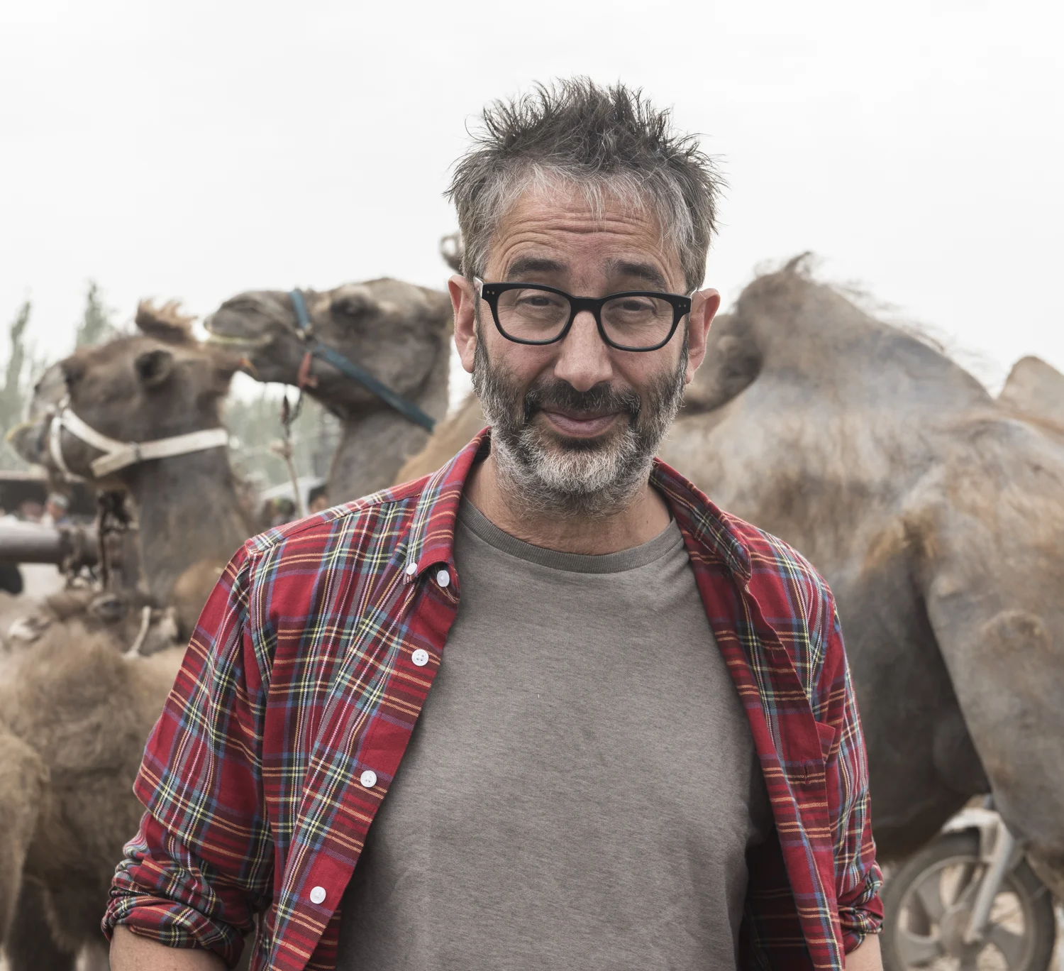 Discovery Channel The Silk Road David Baddiel