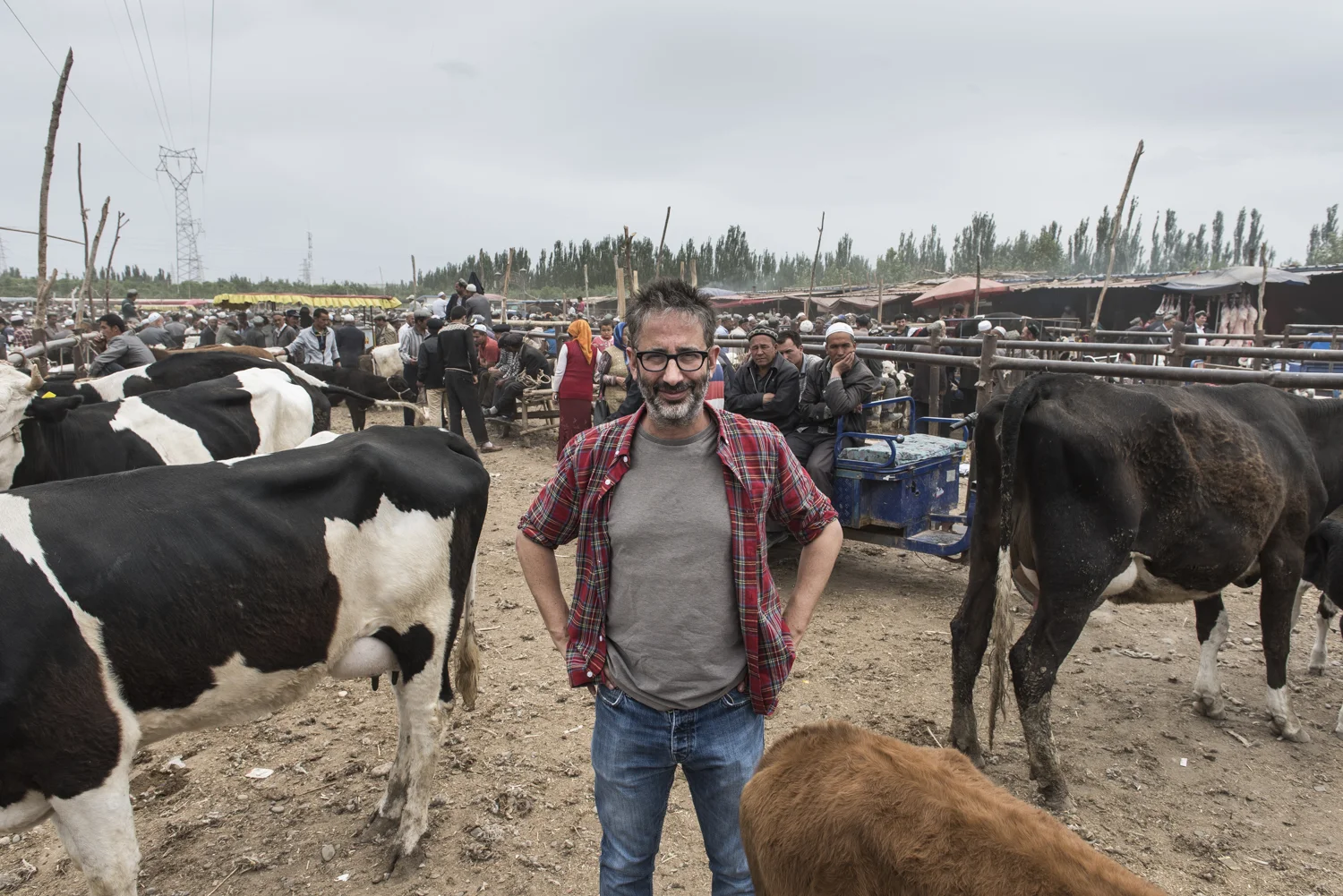 Discovery Channel The Silk Road David Baddiel
