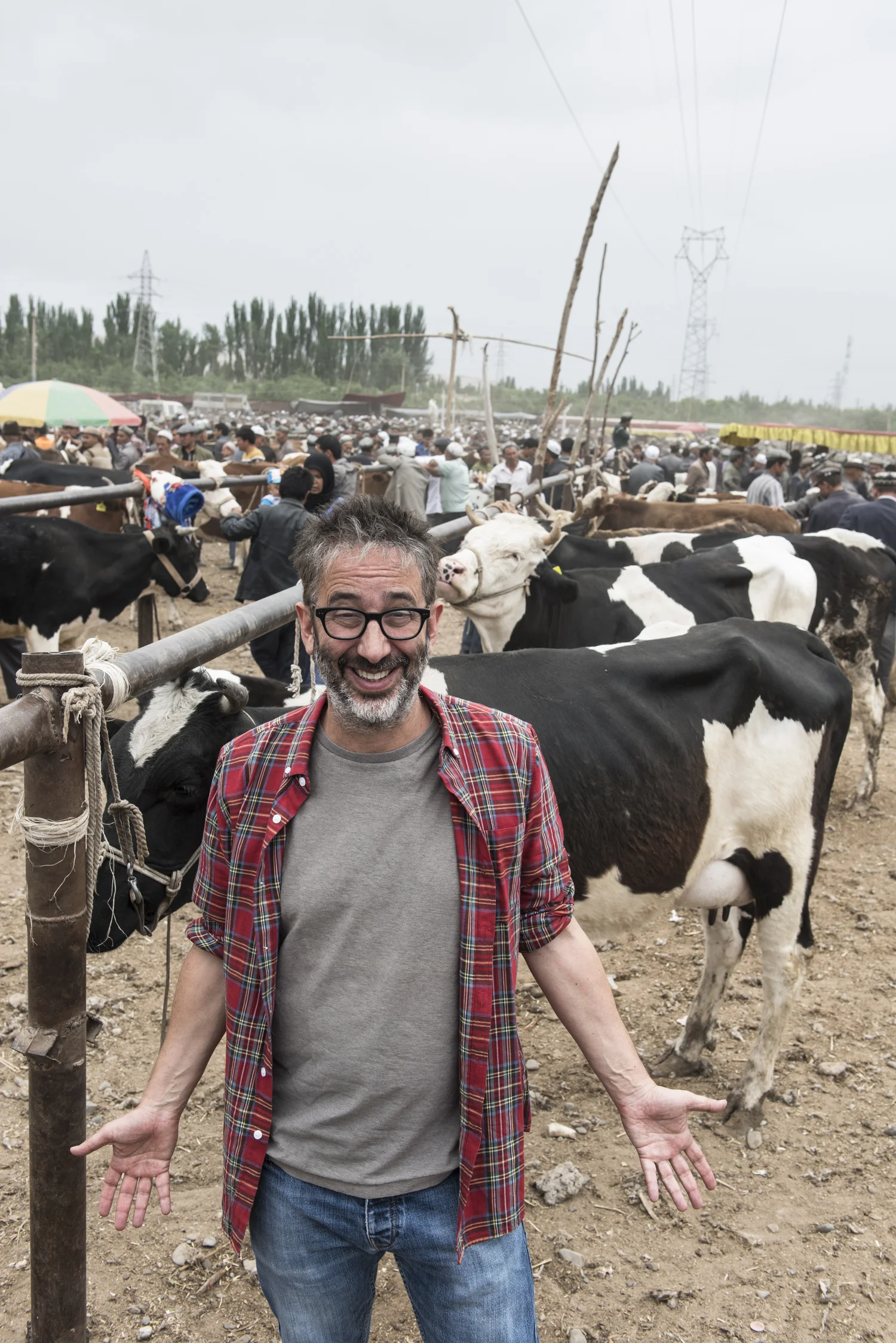 Discovery Channel The Silk Road David Baddiel
