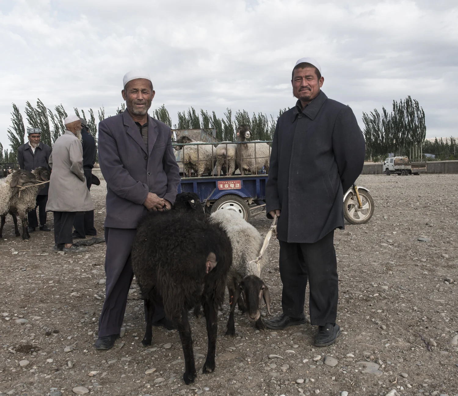 Discovery Channel The Silk Road David Baddiel