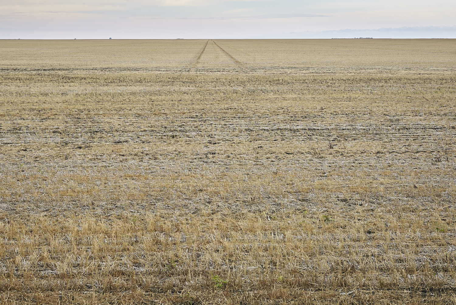Traces 01, South west of Regina, Saskatchewan, Canada, 2017