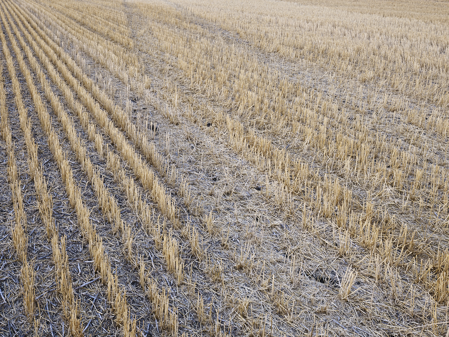 Traces 05, Big Muddy, Saskatchewan, Canada, 2017