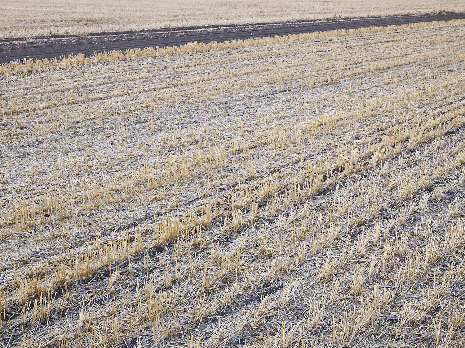 Traces 06, South of Regina, Saskatchewan, Canada, 2017