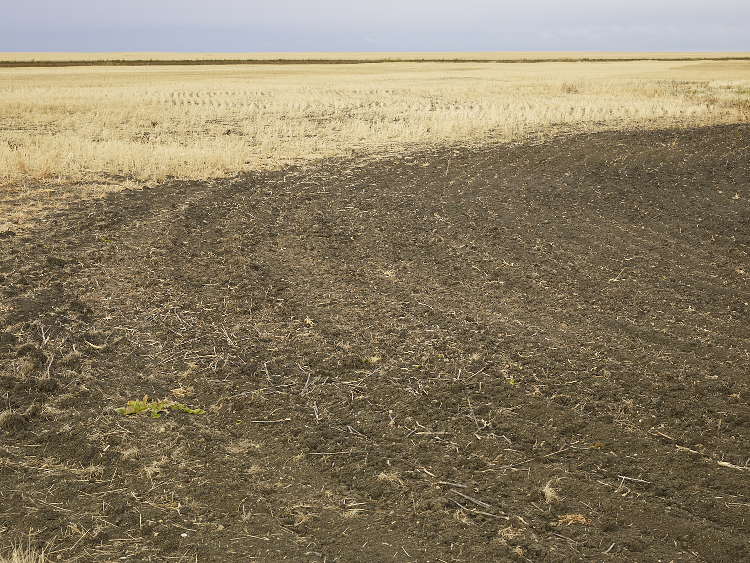 Traces 07, South west of Regina, Saskatchewan, Canada, 2017